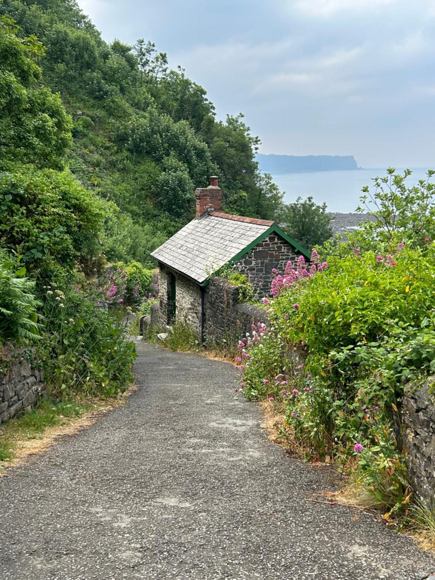 Cosy Boathouse Cottage By The Sea With Log Burner Bucks Mills Экстерьер фото